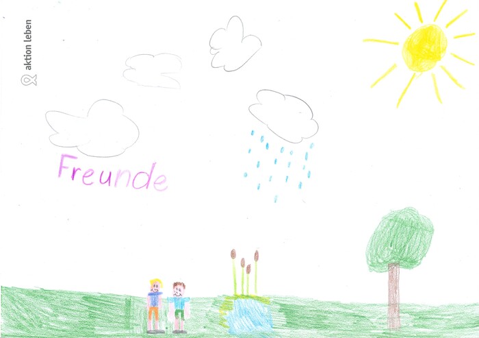 Fabian, 9, Groß Sierning